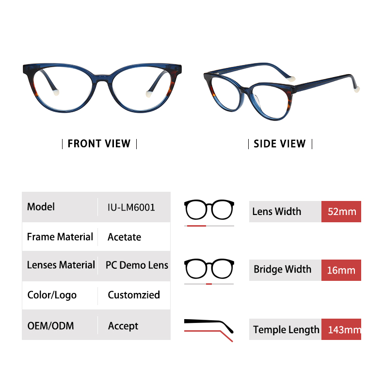 Cat Eye Glasses Frames_detials