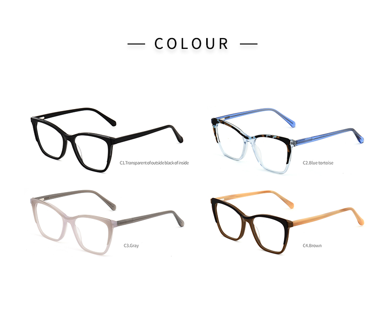 Plastic Eyeglasses_color