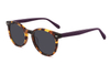 Acetate Sunglasses-FG1569T