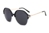 Acetate Metal Sunglasses-ZD8817T