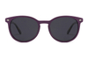 Acetate Sunglasses-FG1569T