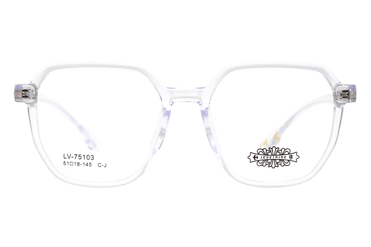 Wholesale Tr90 Glasses Frame 75103