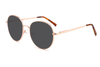 Metal Sunglasses-ZD8808T