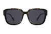 Acetate Sunglasses-FG1523T