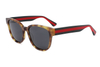 Acetate Sunglasses-FG1330T