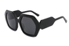 Acetate Sunglasses-FG1464T