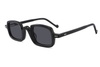 Acetate Sunglasses-FG1522T