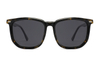 Acetate Sunglasses-FG1524T