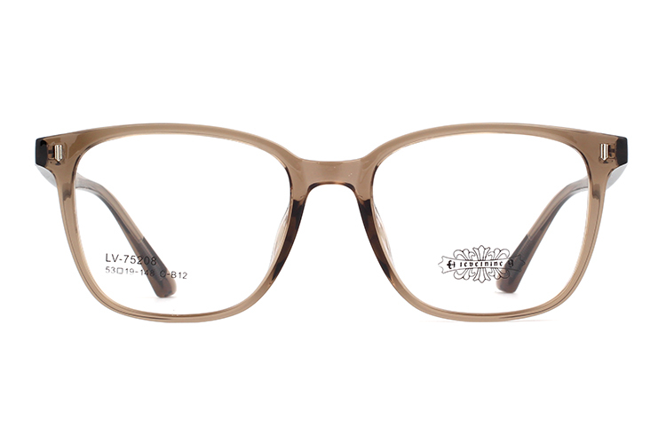 Wholesale Tr90 Glasses Frames 75208