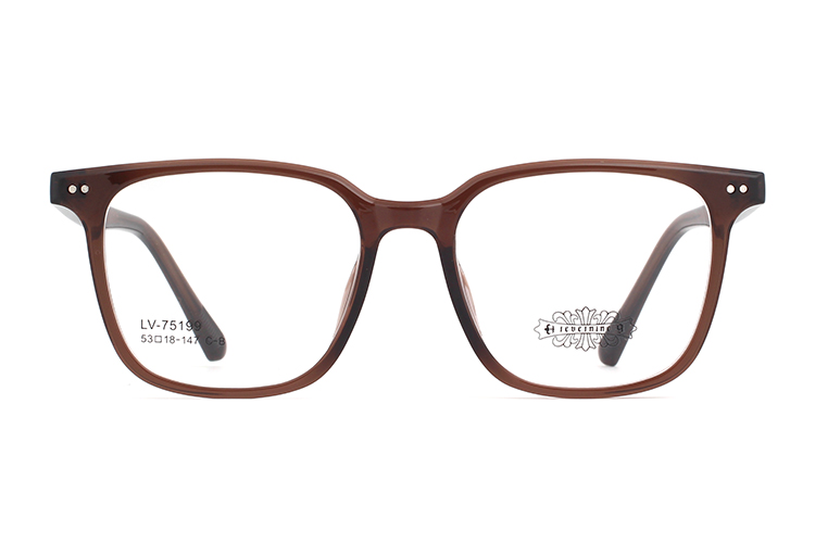Wholesale Tr90 Glasses Frames 75199