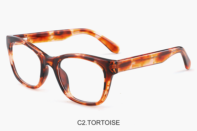 Wholesale Acetate Glasses Frames YC30123