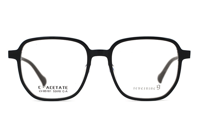 LevelNine Acetate Glasses Frames 85181