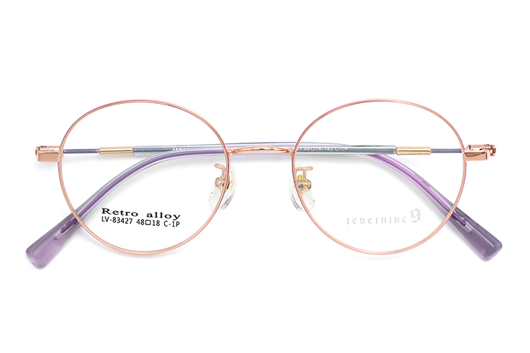 Spectacle Frames Metal - Gold & Purple