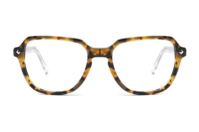 Wholesale Acetate Glasses Frames FG1205