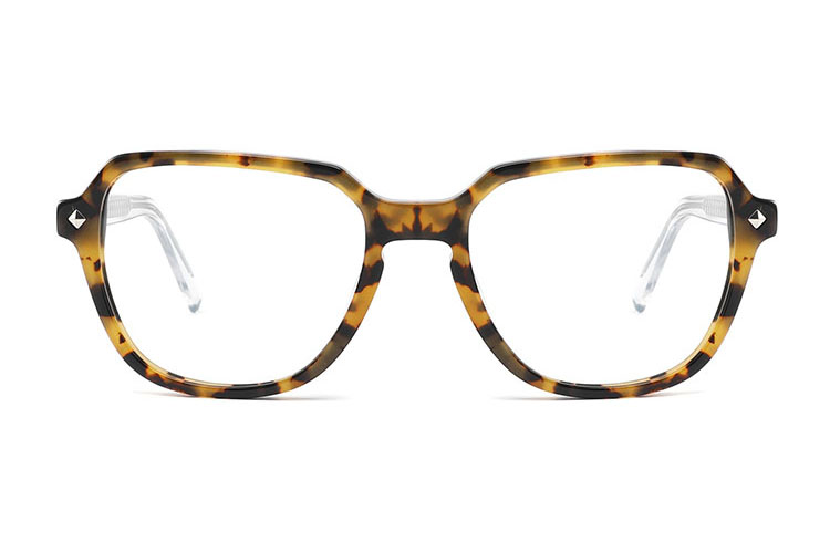 Wholesale Acetate Glasses Frames FG1205