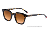 Acetate Sunglasses-BAF2046LS