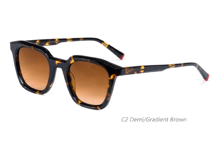 Acetate Sunglasses-BAF2046LS