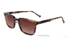 Acetate Sunglasses-BAF5012PS