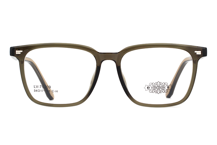Wholesale Tr90 Glasses Frames 75209
