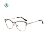 Wholesale Metal Glasses Frames LM1001