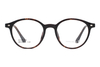 Wholesale Tr90 Glasses Frames 26202