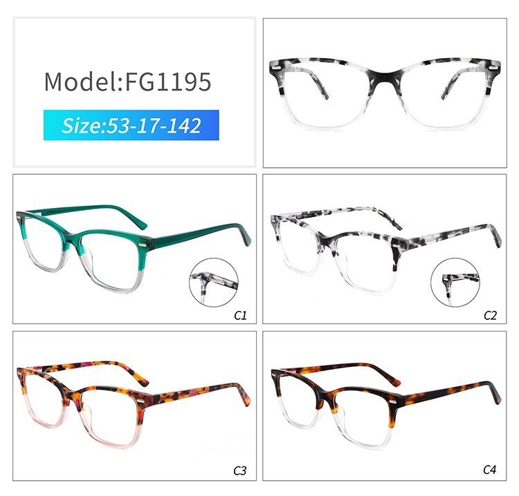 FG1195- plastic frame spectacles