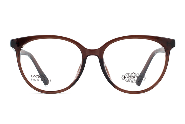 Wholesale Tr90 Glasses Frames 75202