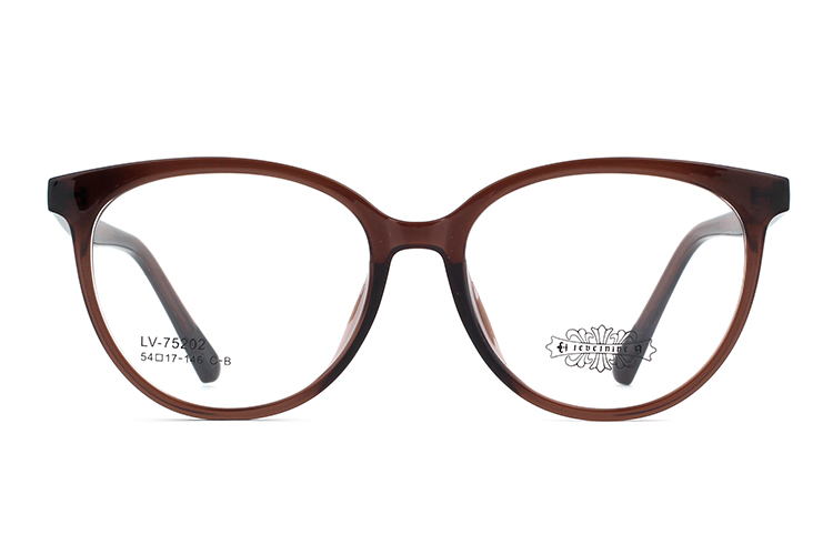 Wholesale Tr90 Glasses Frames 75202