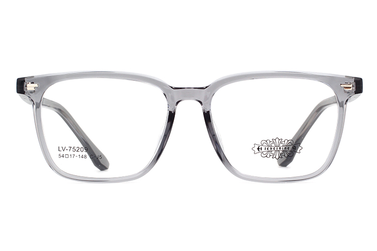 Wholesale Tr90 Glasses Frames 75209