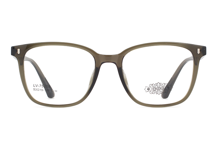 Wholesale Tr90 Glasses Frames 75208