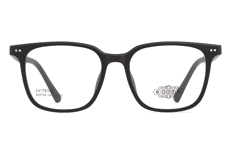 Wholesale Tr90 Glasses Frames 75199