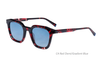 Acetate Sunglasses-BAF2046LS