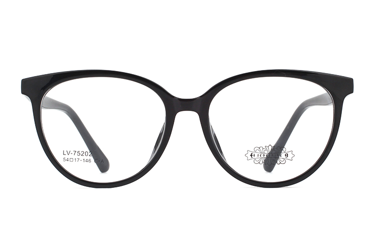 Wholesale Tr90 Glasses Frames 75202