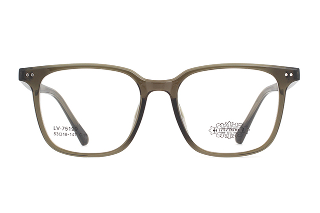 Wholesale Tr90 Glasses Frames 75199