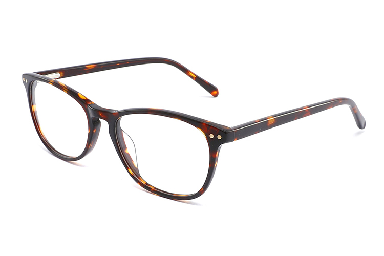 Wholesale Acetate Glasses Frames FG1014