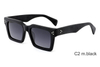 Acetate Sunglasses-YD1444T