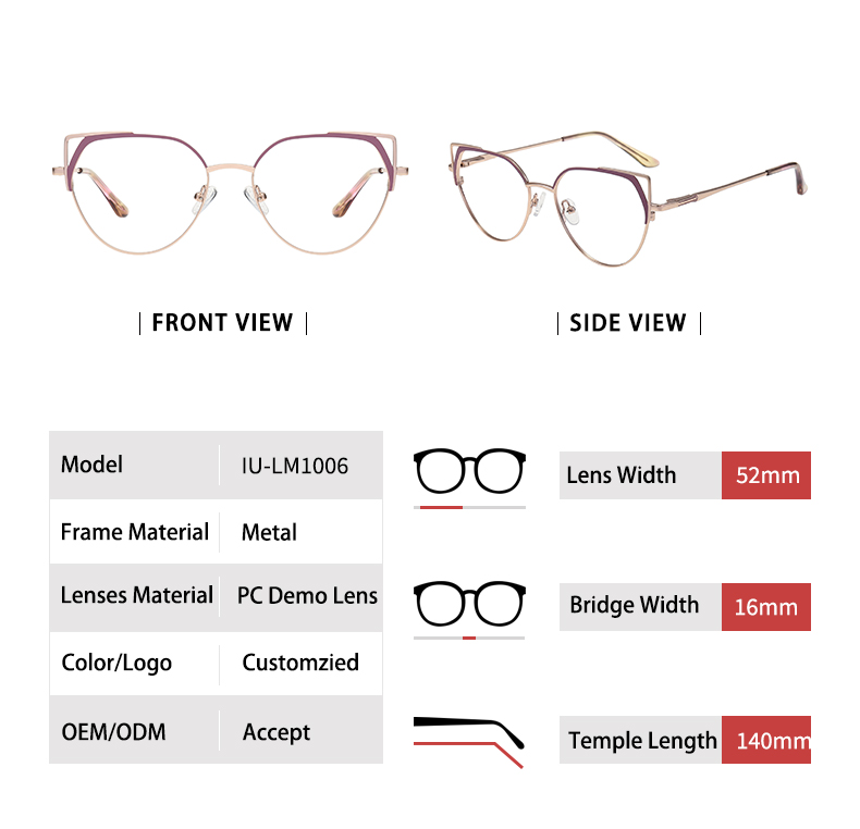 Metal Frame Glasses Fashion_detials
