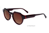Acetate Sunglasses-BAF2068LS