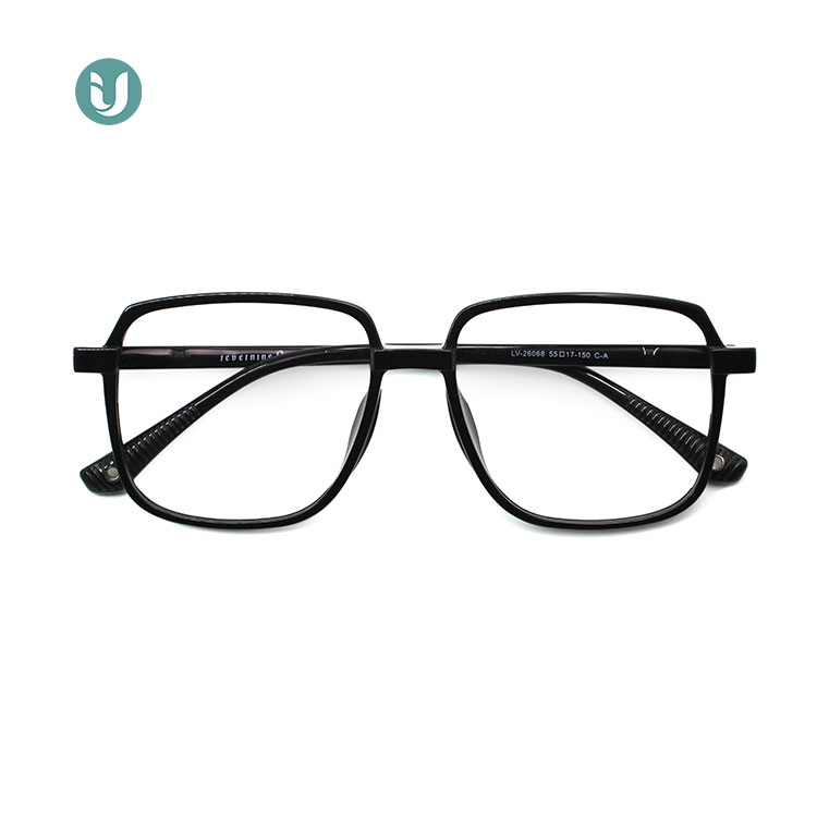 Wholesale Tr90 Glasses Frame 26068