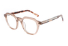 Square Acetate Eyeglasses Frames FG1004