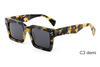 Acetate Sunglasses-YD1444T
