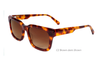 Acetate Sunglasses-BAF2067LS