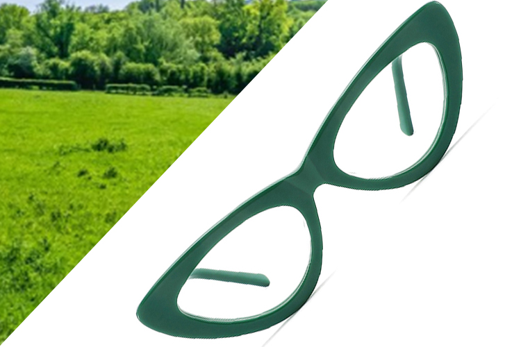 Prairie Greens Glasses Frames - Model LT2017