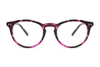 Wholesale Acetate Glasses Frames FG1017