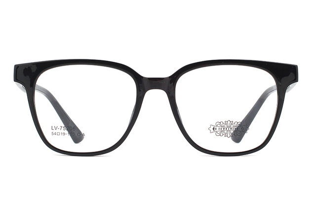 Wholesale Tr90 Glasses Frames 75206