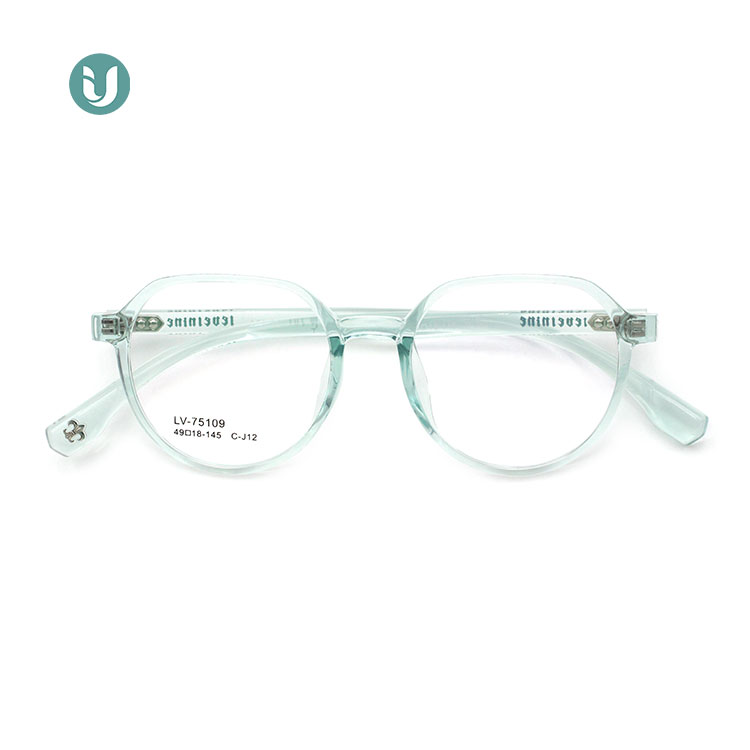 Tr90 Frame Glasses