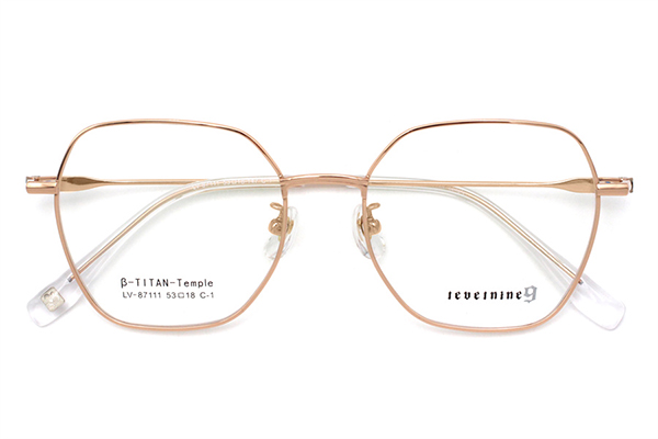 Frame Glasses Titanium