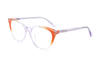 Wholesale Acetate Glasses Frames FG1177