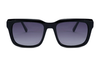 Acetate Sunglasses-BAF2067LS