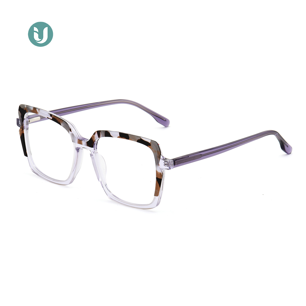 Acetate Large Frame Glasses WXA21074